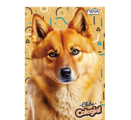 CAD.C.D.COST.OF.96FLS CLUBE COLEGIAL 0558-9 C/5